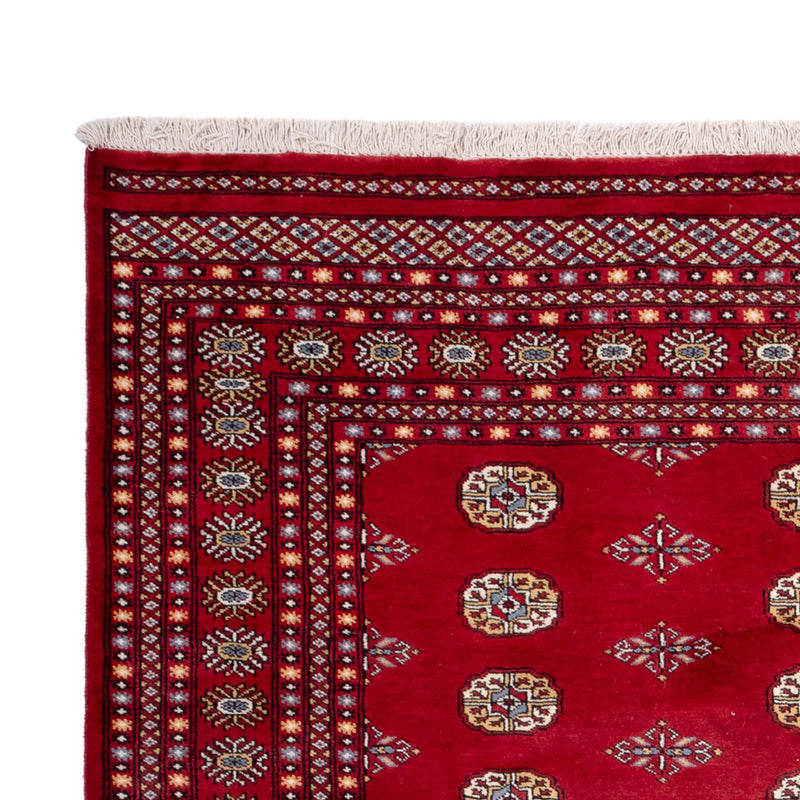 Alfombra afgana - Bukhara - 308 x 207 cm - rojo