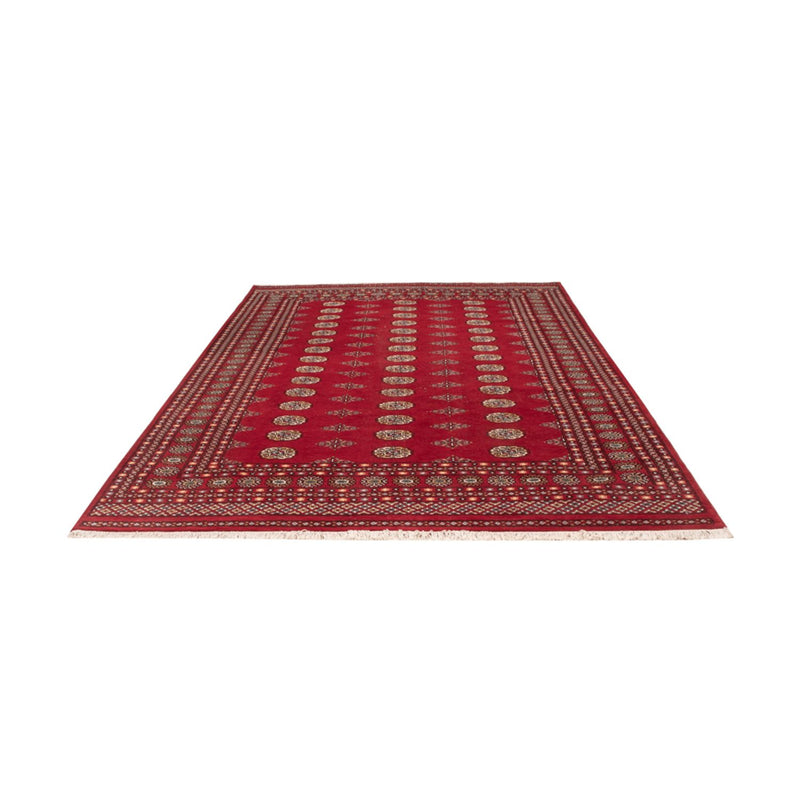 Alfombra afgana - Bukhara - 308 x 207 cm - rojo