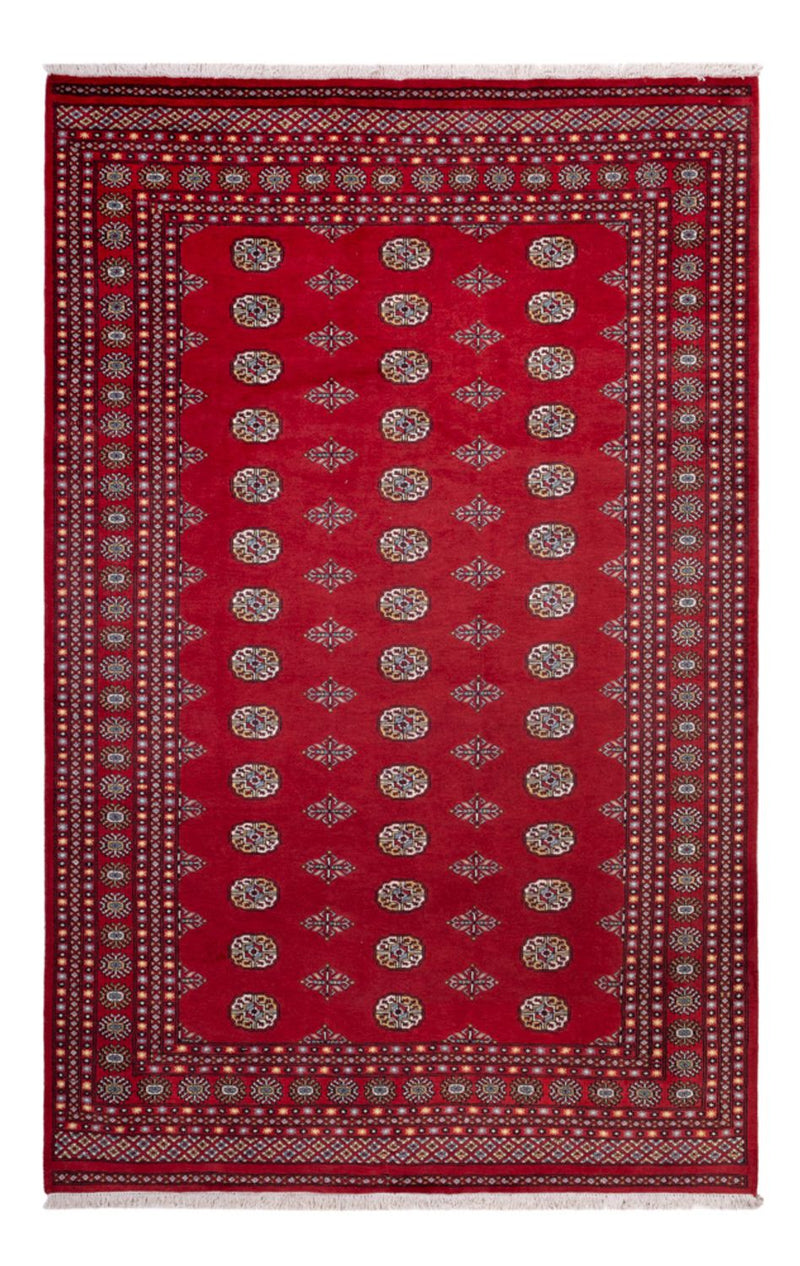Alfombra afgana - Bukhara - 314 x 202 cm - rojo