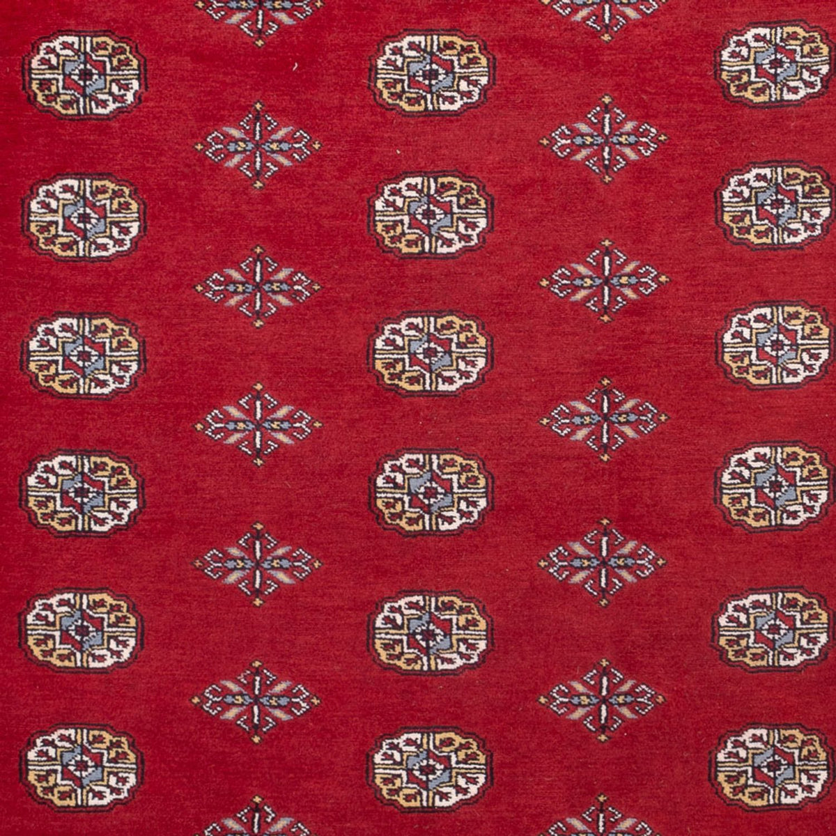 Alfombra afgana - Bukhara - 314 x 202 cm - rojo