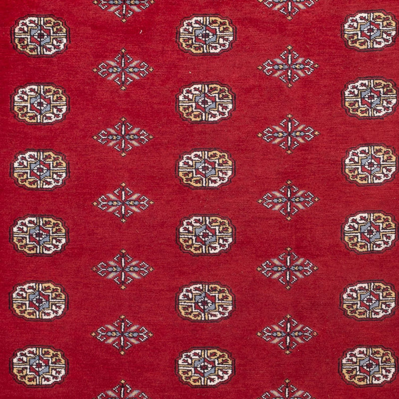 Alfombra afgana - Bukhara - 314 x 202 cm - rojo