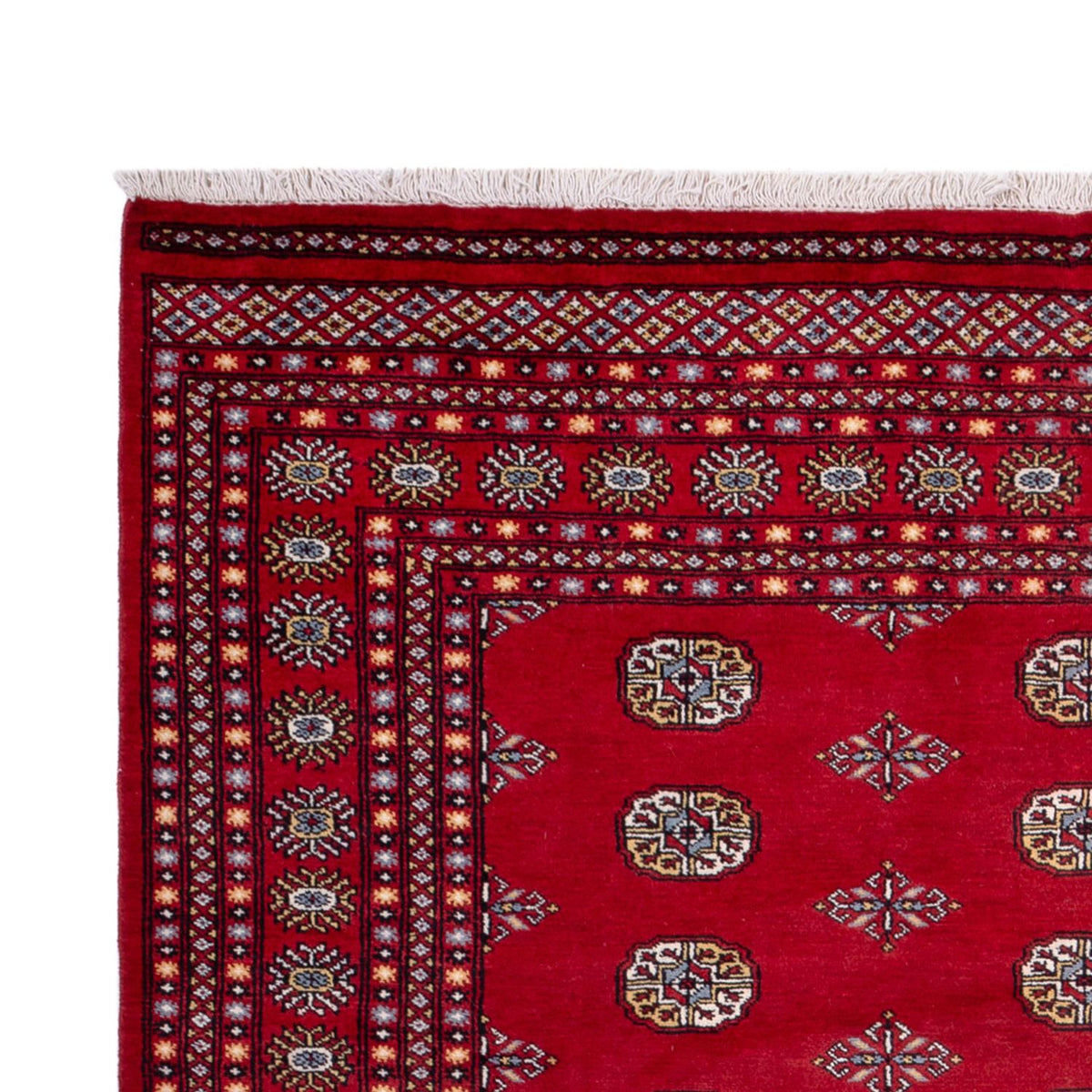 Alfombra afgana - Bukhara - 314 x 202 cm - rojo