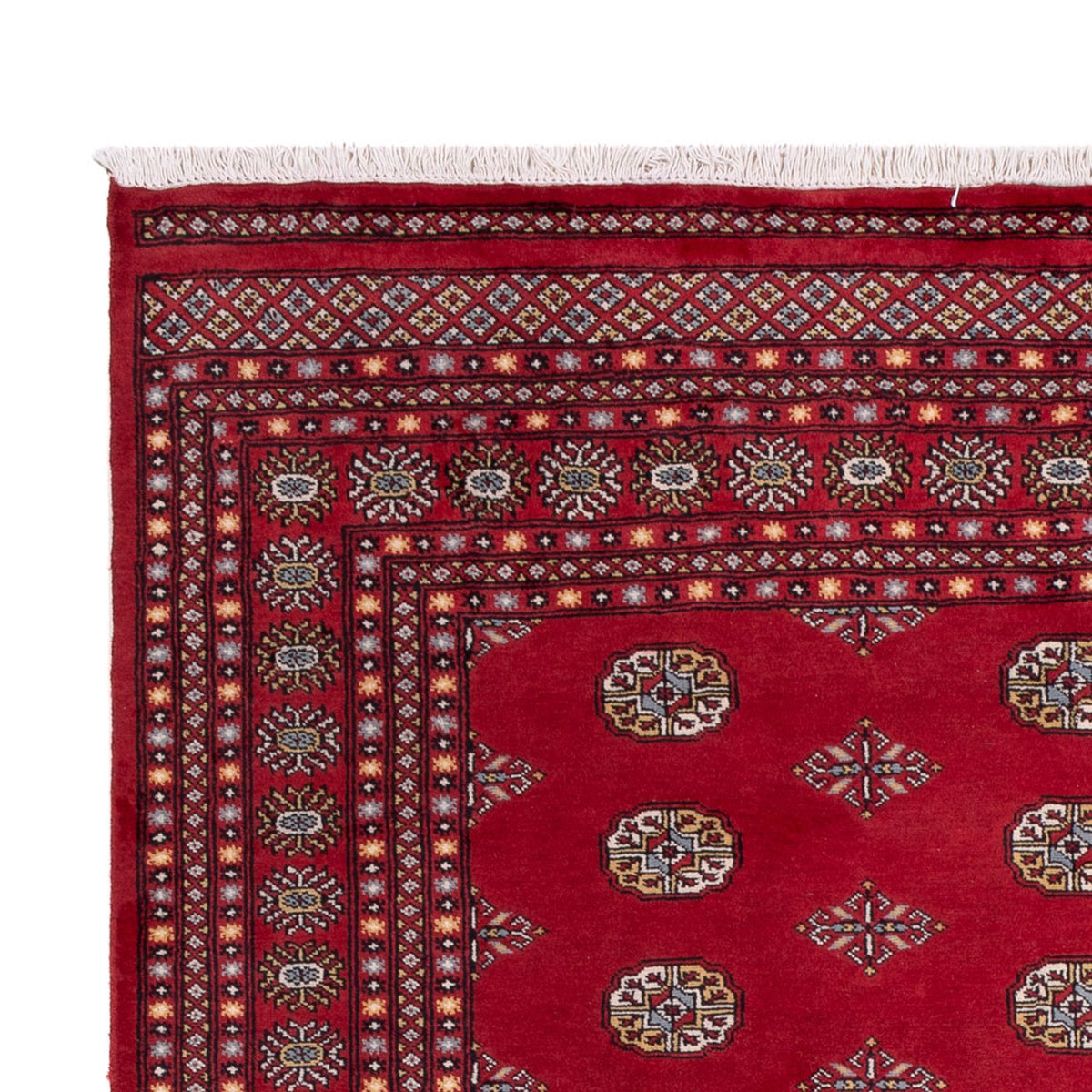 Alfombra afgana - Bukhara - 306 x 202 cm - rojo