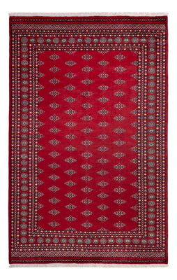 Alfombra afgana - Bukhara - 317 x 204 cm - rojo