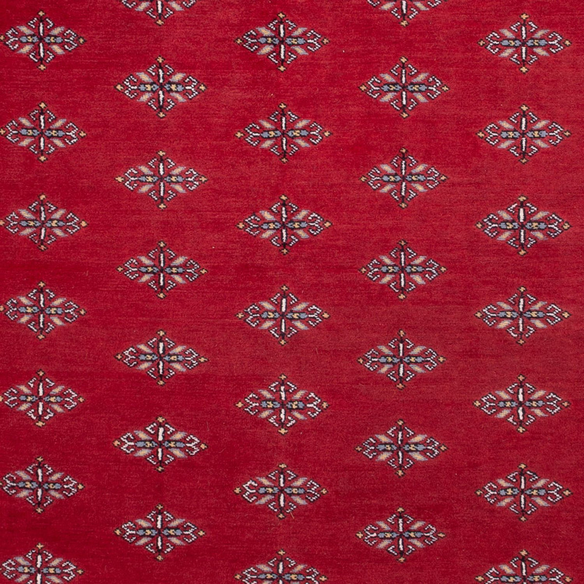 Alfombra afgana - Bukhara - 317 x 204 cm - rojo