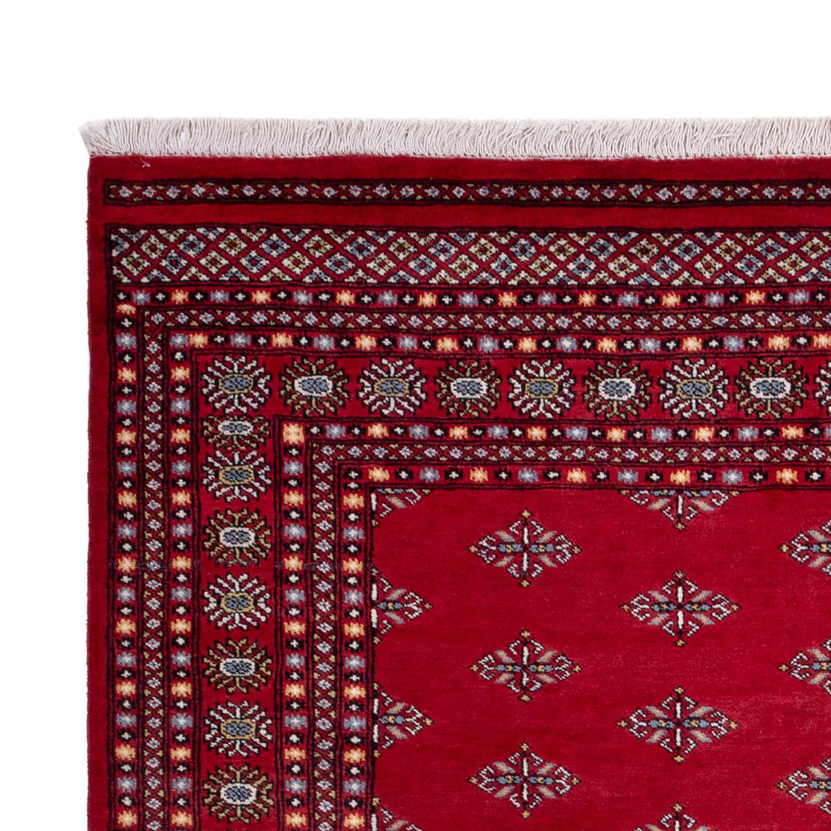 Alfombra afgana - Bukhara - 317 x 204 cm - rojo