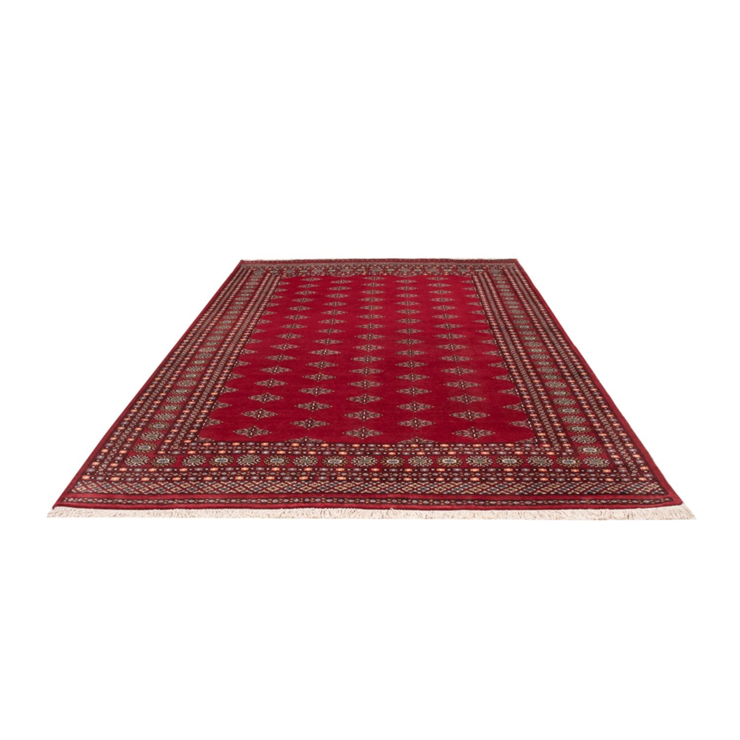Alfombra afgana - Bukhara - 317 x 204 cm - rojo