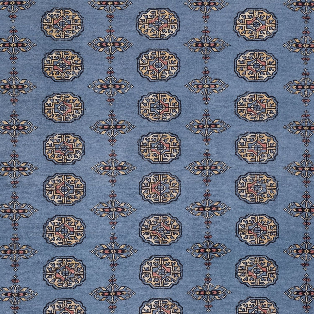 Alfombra afgana - Bukhara - 307 x 250 cm - azul