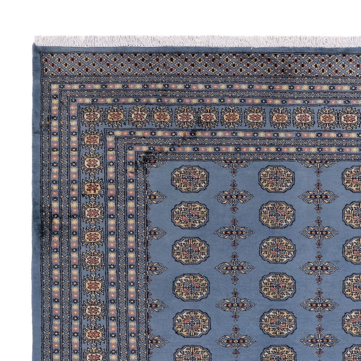 Alfombra afgana - Bukhara - 307 x 250 cm - azul
