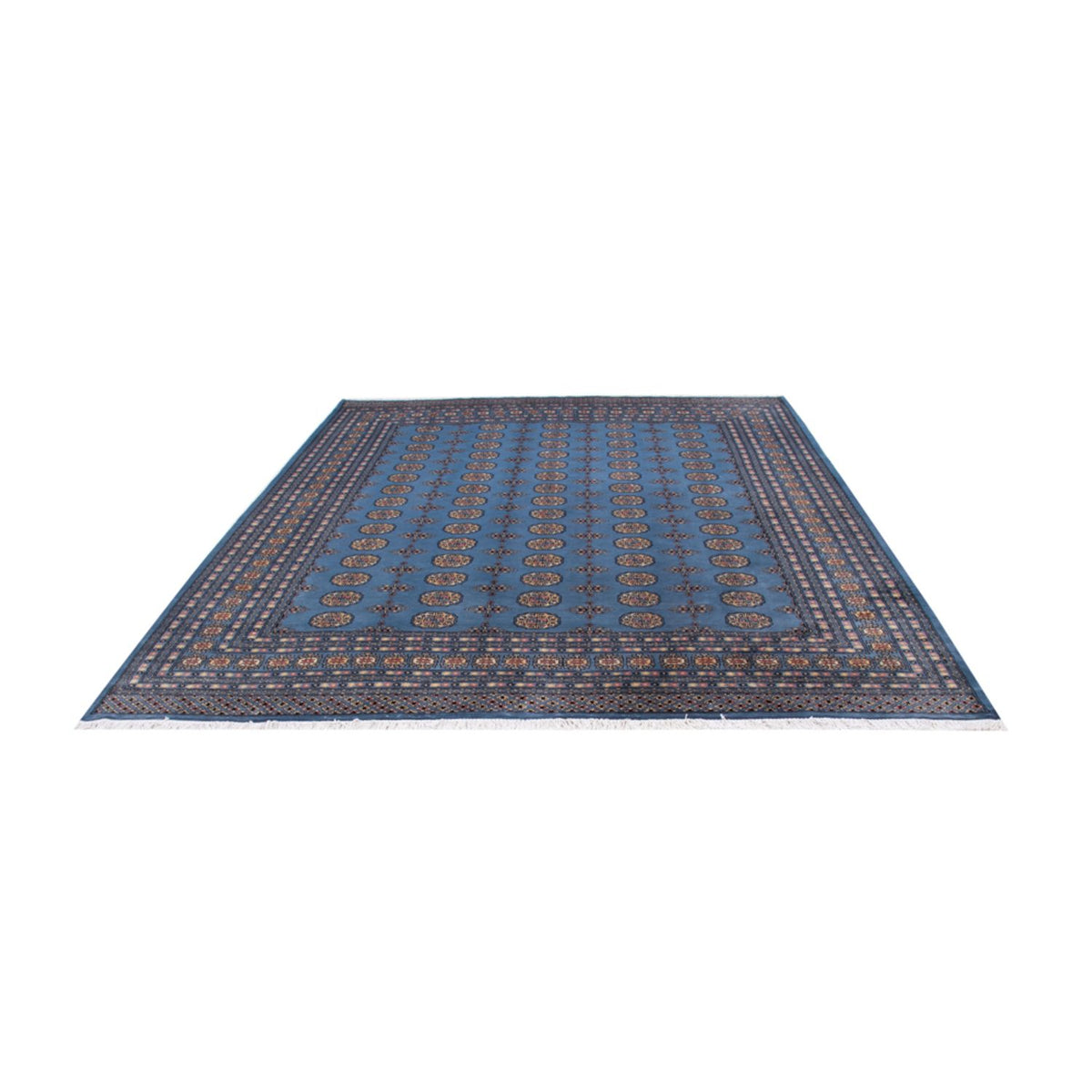 Alfombra afgana - Bukhara - 307 x 250 cm - azul