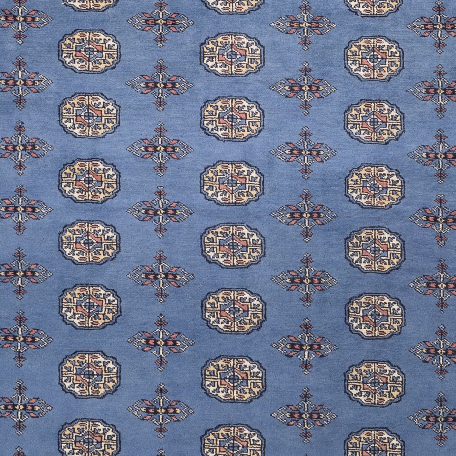 Alfombra afgana - Bukhara - 305 x 249 cm - azul
