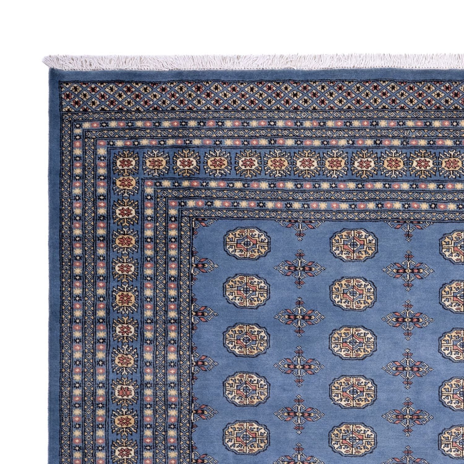Alfombra afgana - Bukhara - 305 x 249 cm - azul