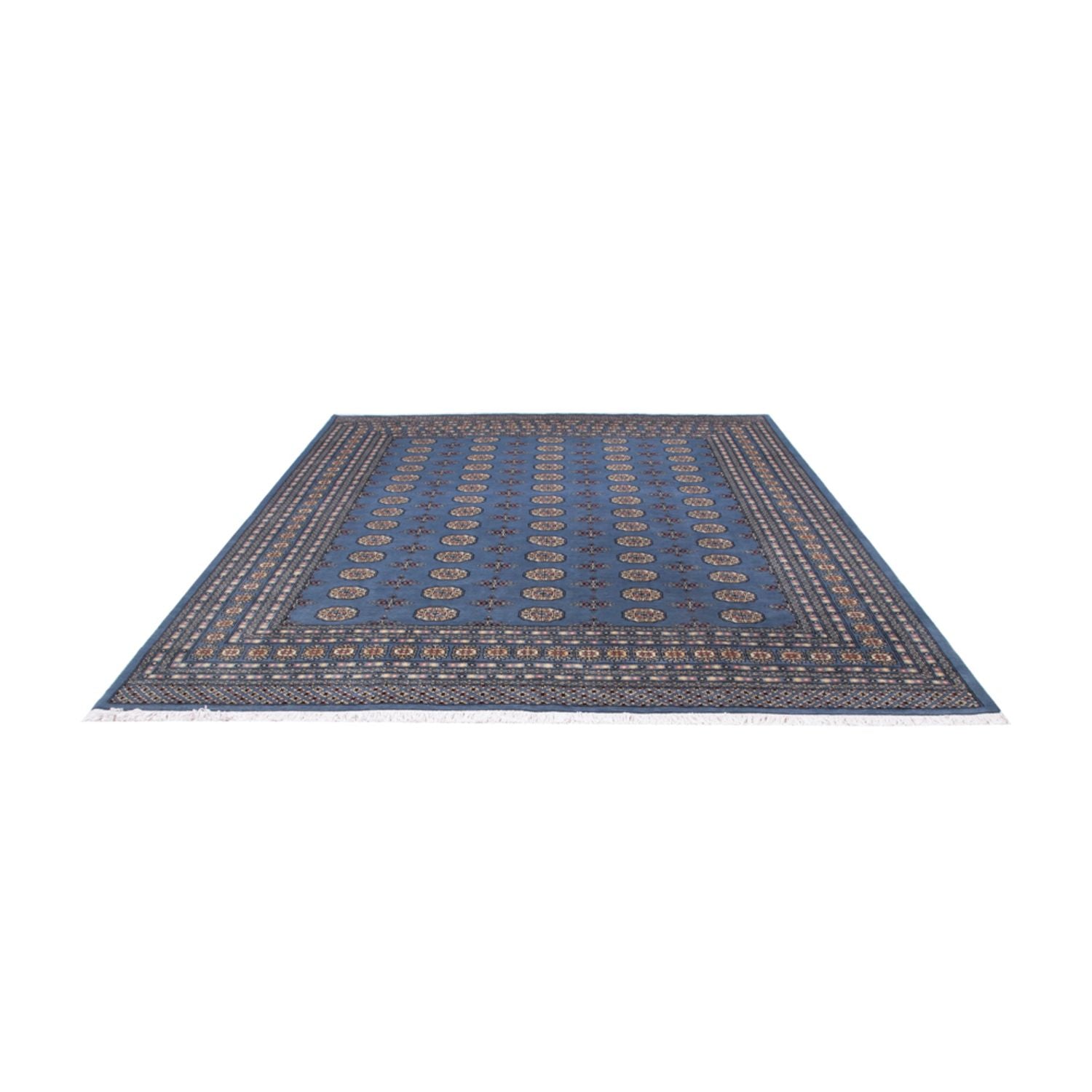 Alfombra afgana - Bukhara - 305 x 249 cm - azul