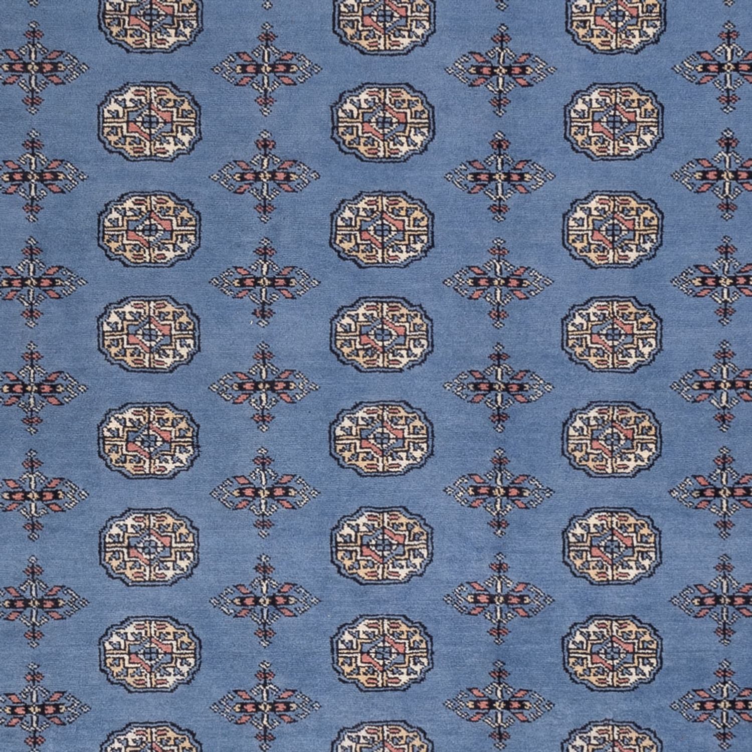 Alfombra afgana - Bukhara - 297 x 250 cm - azul
