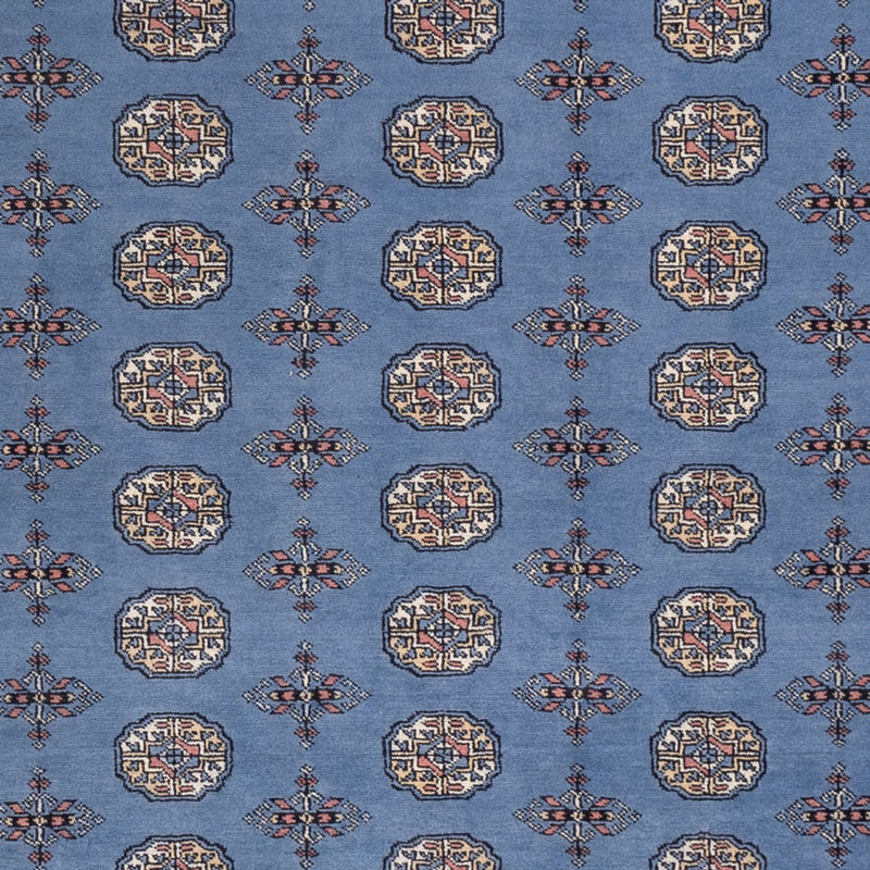 Alfombra afgana - Bukhara - 297 x 250 cm - azul