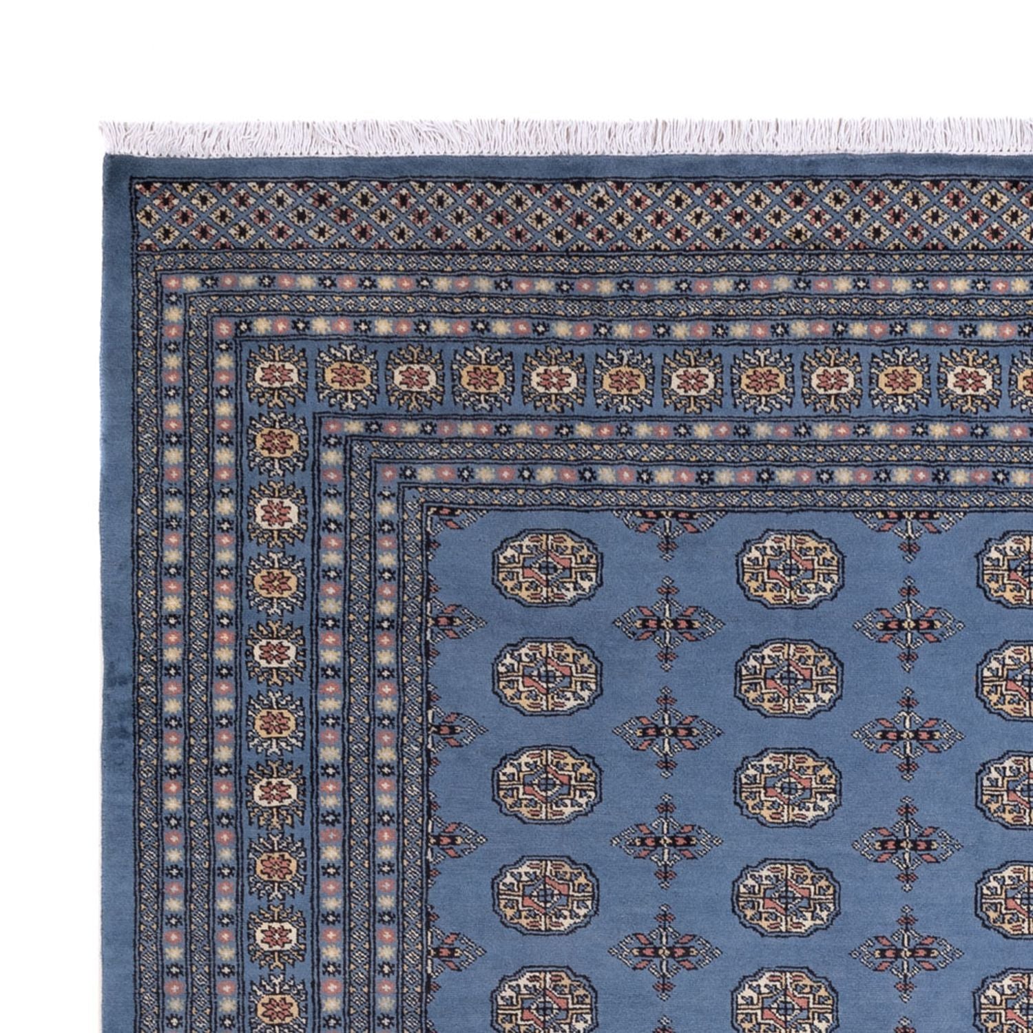 Alfombra afgana - Bukhara - 297 x 250 cm - azul
