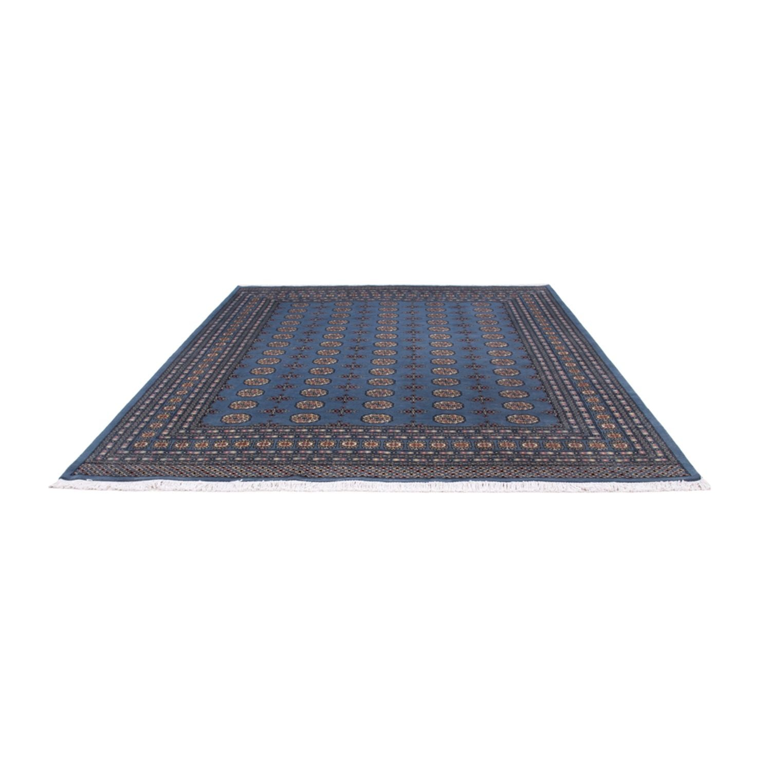 Alfombra afgana - Bukhara - 297 x 250 cm - azul