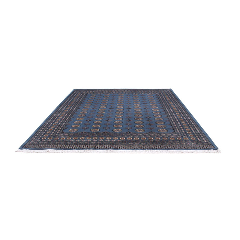 Alfombra afgana - Bukhara - 297 x 250 cm - azul