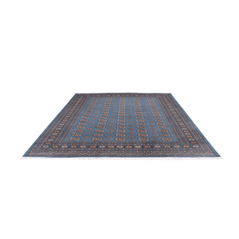 Alfombra afgana - Bukhara - 305 x 249 cm - azul claro