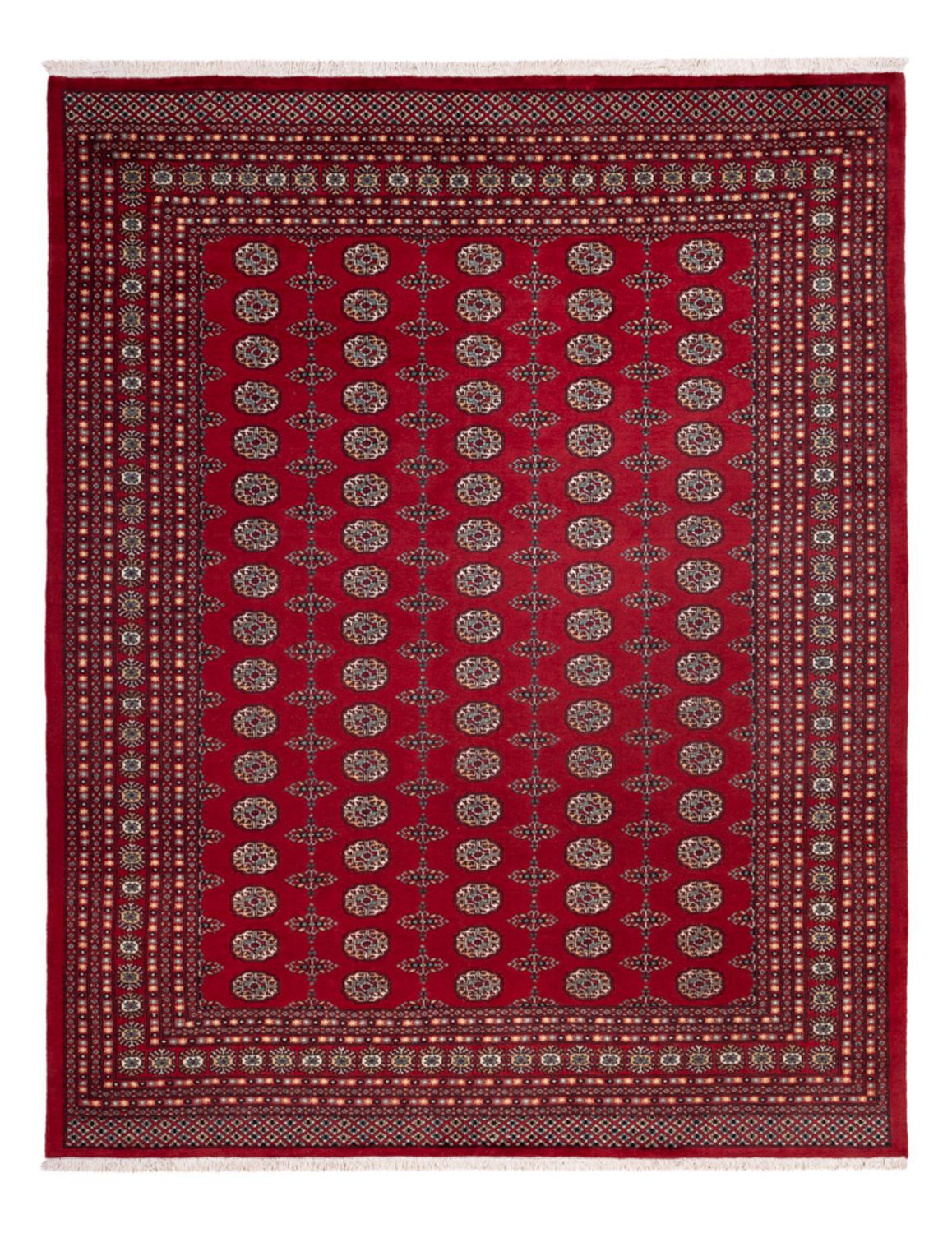 Alfombra afgana - Bukhara - 309 x 246 cm - rojo