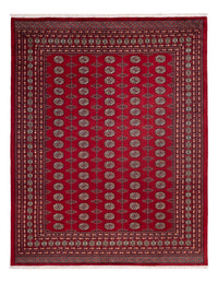 Alfombra afgana - Bukhara - 309 x 246 cm - rojo