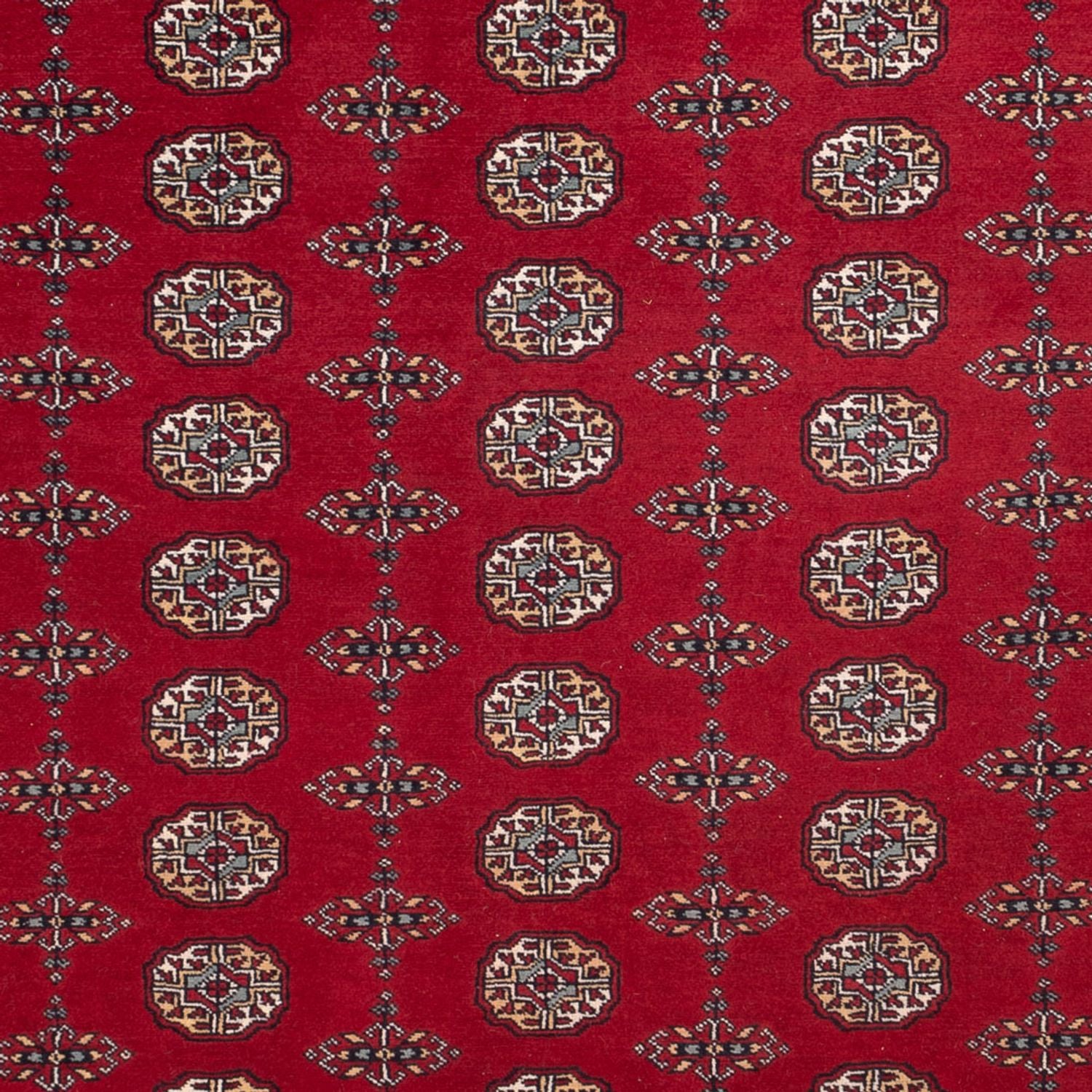 Alfombra afgana - Bukhara - 309 x 246 cm - rojo