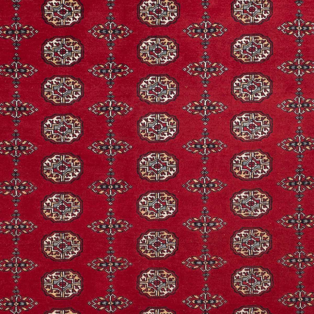 Alfombra afgana - Bukhara - 309 x 246 cm - rojo