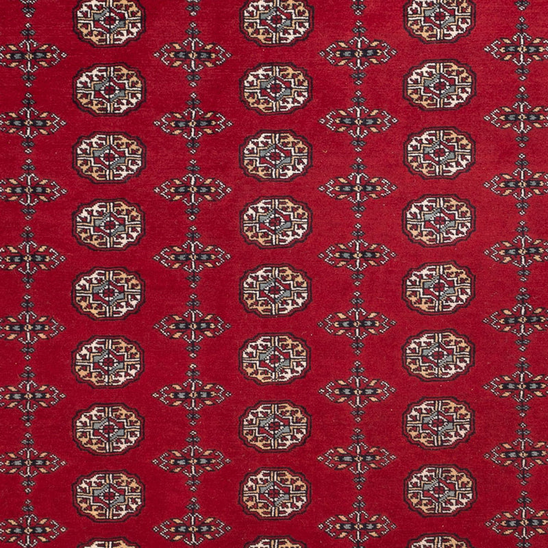 Alfombra afgana - Bukhara - 309 x 246 cm - rojo