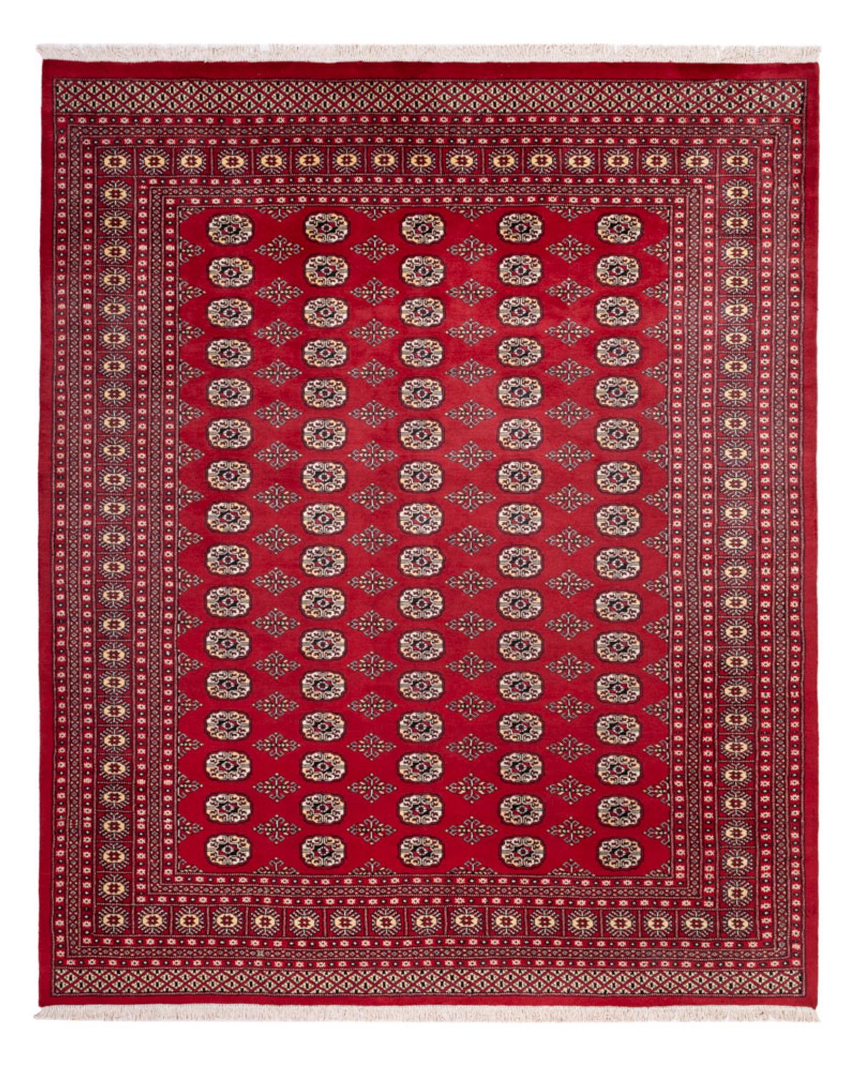 Alfombra afgana - Bukhara - 305 x 244 cm - rojo