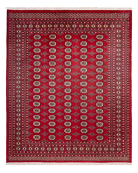 Alfombra afgana - Bukhara - 305 x 244 cm - rojo