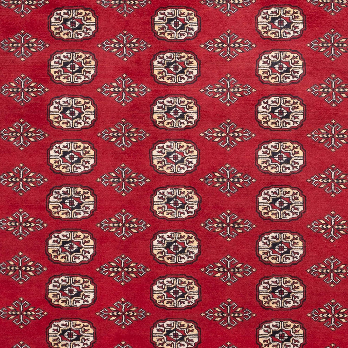 Alfombra afgana - Bukhara - 305 x 244 cm - rojo