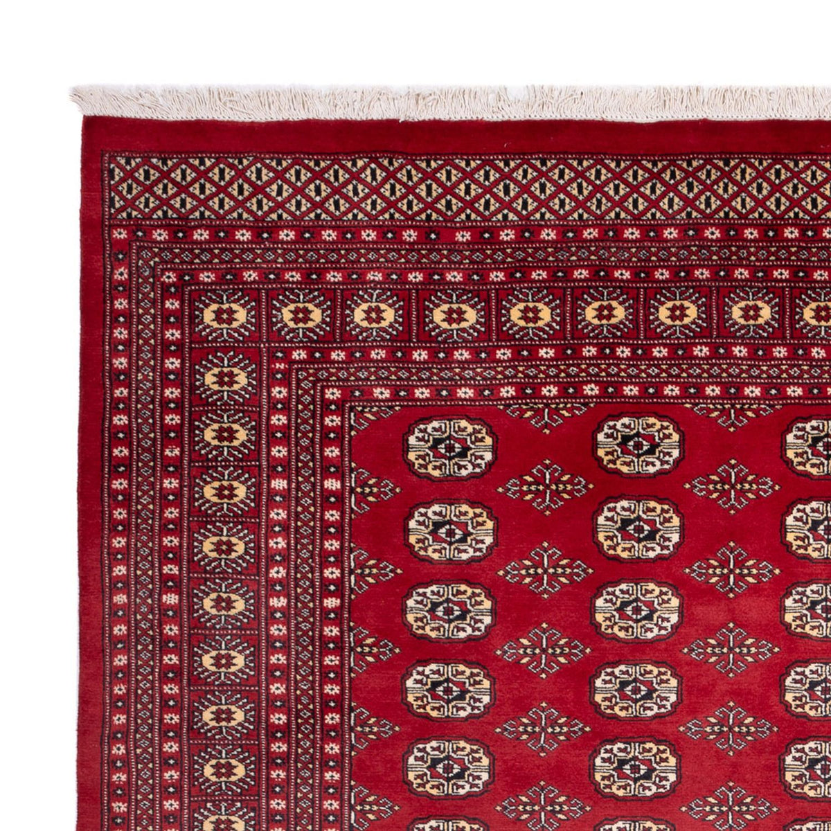 Alfombra afgana - Bukhara - 305 x 244 cm - rojo