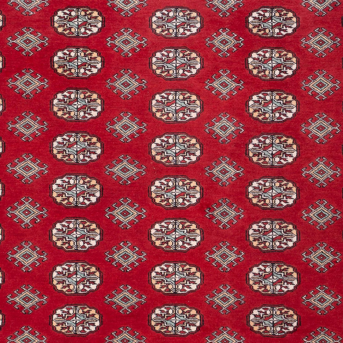 Alfombra afgana - Bukhara - 296 x 250 cm - rojo