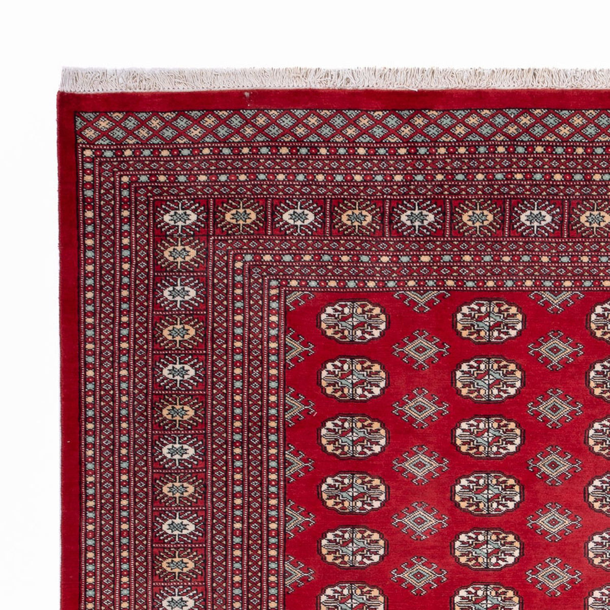 Alfombra afgana - Bukhara - 296 x 250 cm - rojo