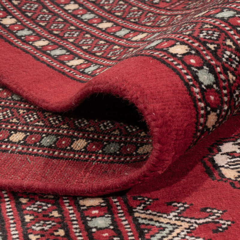Alfombra afgana - Bukhara - 296 x 250 cm - rojo
