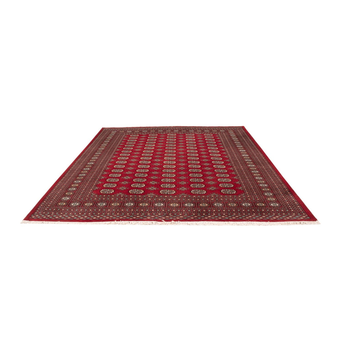 Alfombra afgana - Bukhara - 296 x 250 cm - rojo