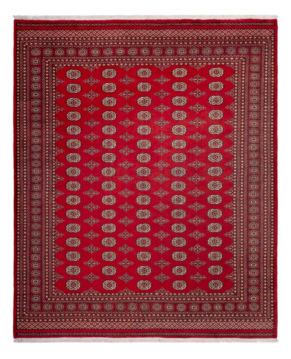 Alfombra afgana - Bukhara - 305 x 252 cm - rojo