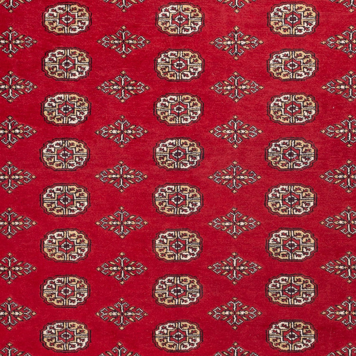 Alfombra afgana - Bukhara - 305 x 252 cm - rojo