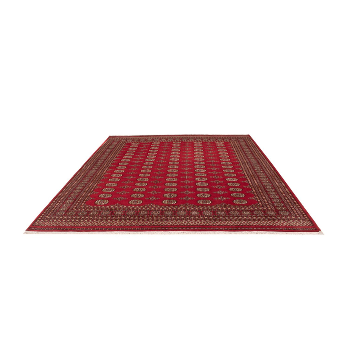 Alfombra afgana - Bukhara - 305 x 252 cm - rojo