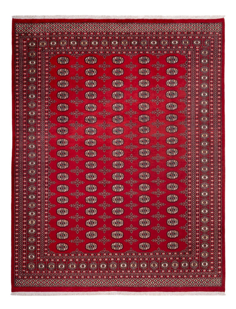 Alfombra afgana - Bukhara - 319 x 250 cm - rojo