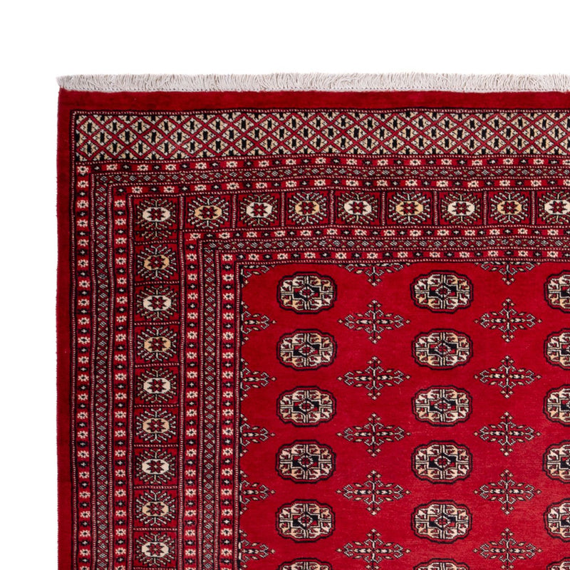 Alfombra afgana - Bukhara - 319 x 250 cm - rojo
