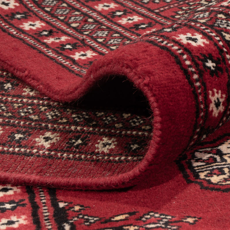 Alfombra afgana - Bukhara - 319 x 250 cm - rojo