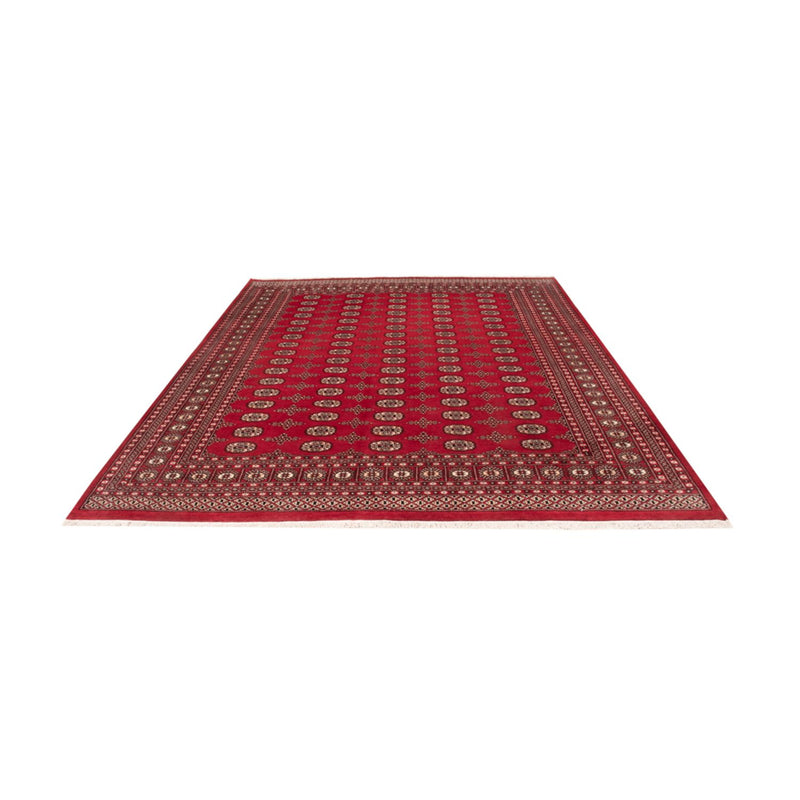 Alfombra afgana - Bukhara - 319 x 250 cm - rojo
