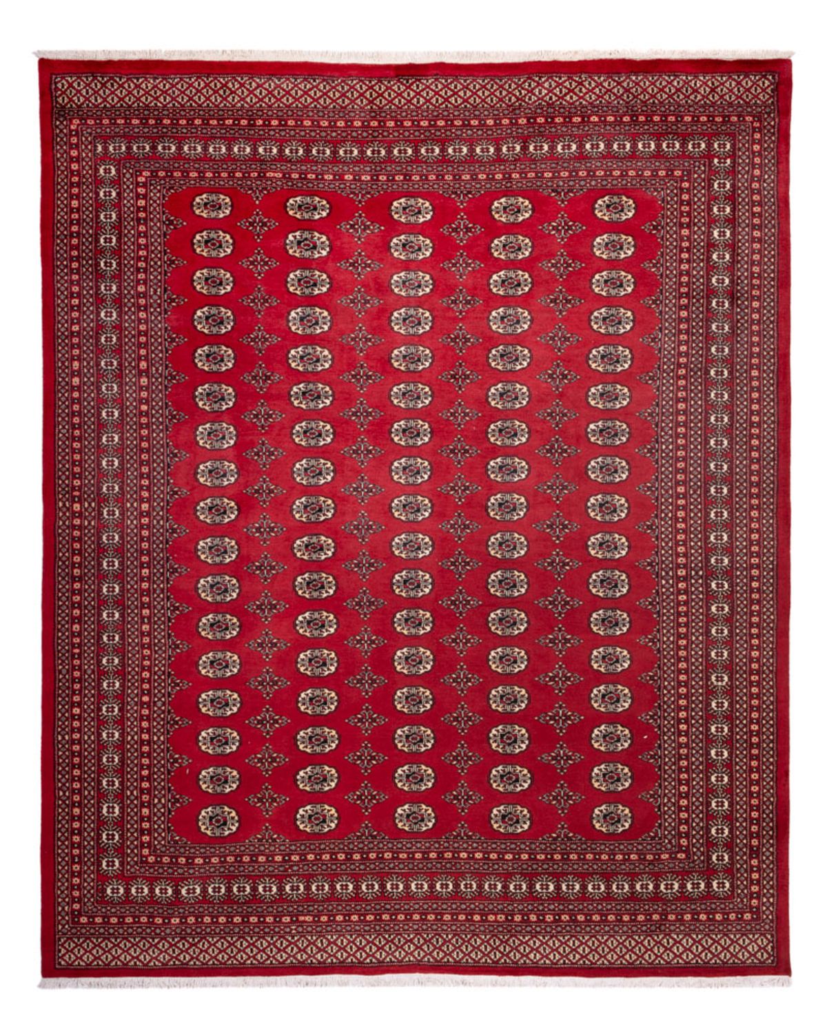 Alfombra afgana - Bukhara - 309 x 248 cm - rojo