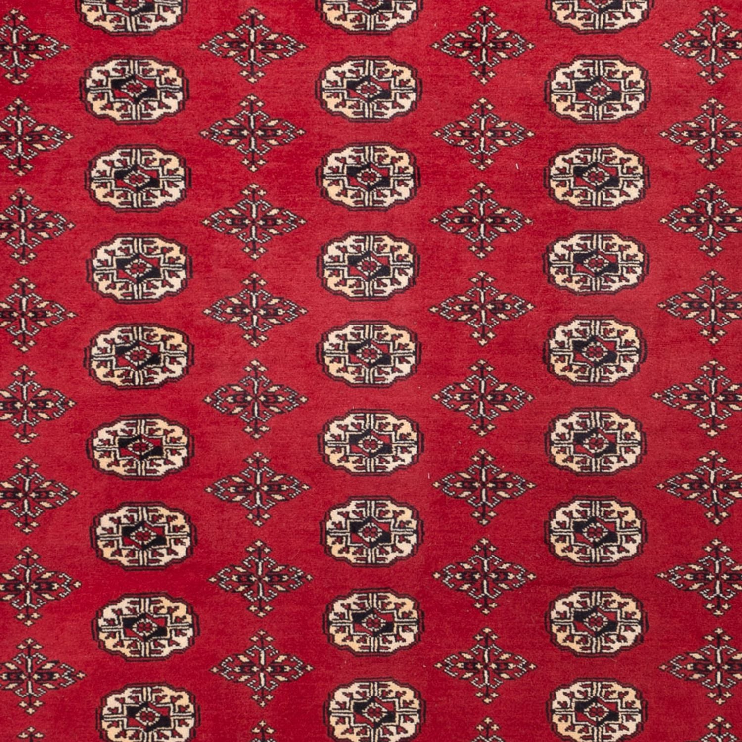 Alfombra afgana - Bukhara - 309 x 248 cm - rojo
