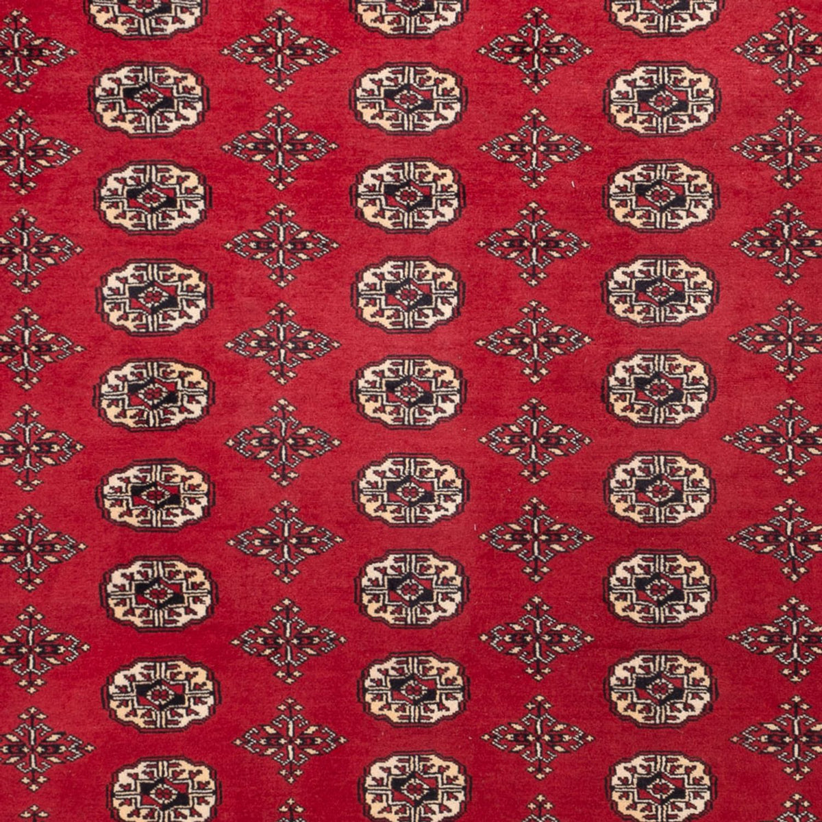 Alfombra afgana - Bukhara - 309 x 248 cm - rojo