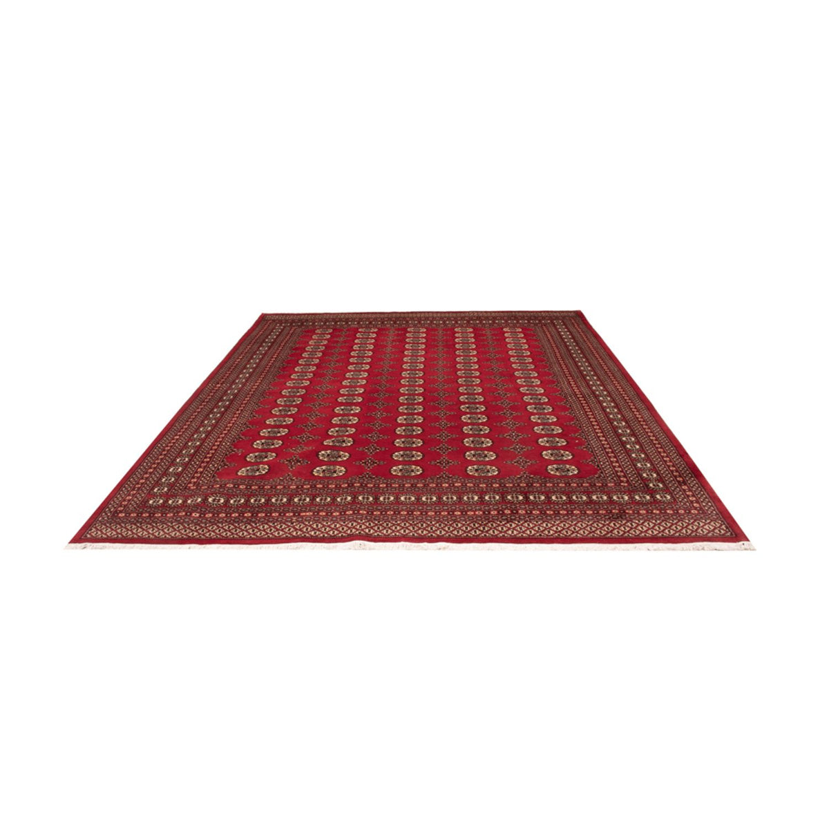 Alfombra afgana - Bukhara - 309 x 248 cm - rojo