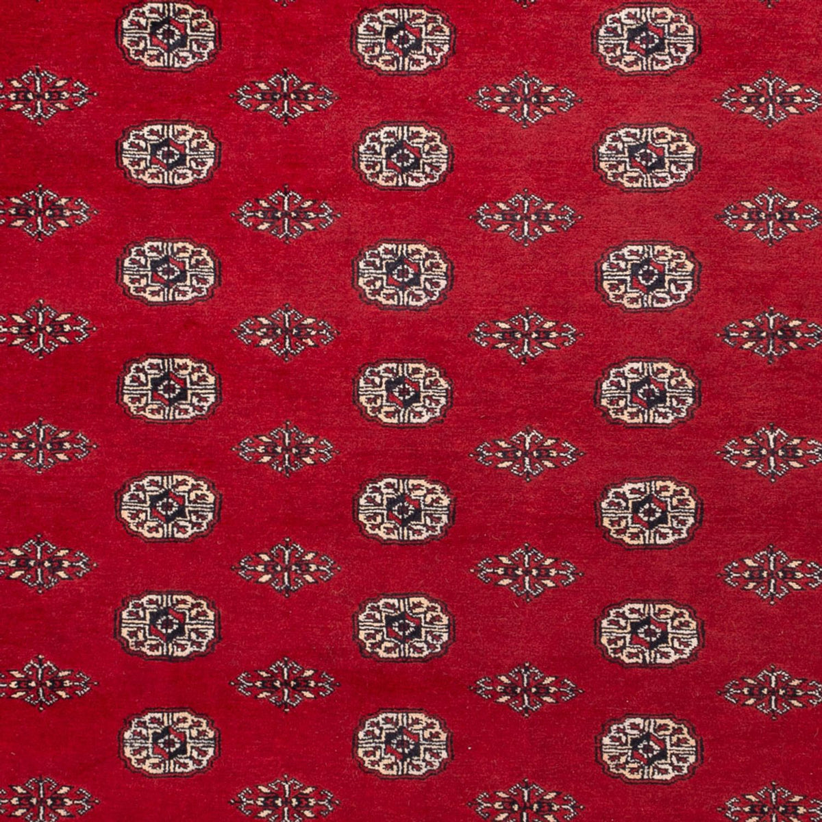 Alfombra afgana - Bukhara - 323 x 248 cm - rojo