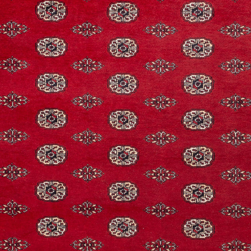 Alfombra afgana - Bukhara - 323 x 248 cm - rojo