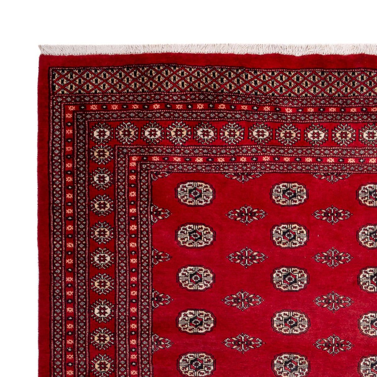 Alfombra afgana - Bukhara - 323 x 248 cm - rojo